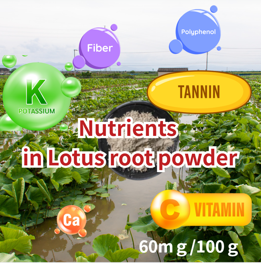 VEGEMARI POWDER LOTUS ROOT 450g (15.9oz)