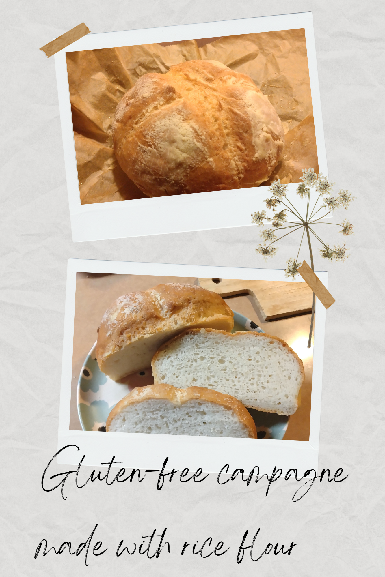VEGEMARI for BREAD Rice powder gluten-free for baking rice flour bread in a home bakery 300g